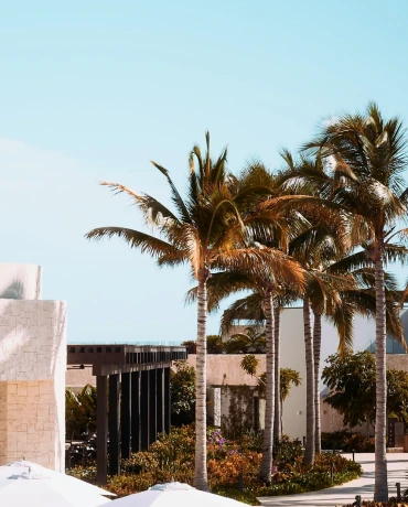 Resort exterior at dusk